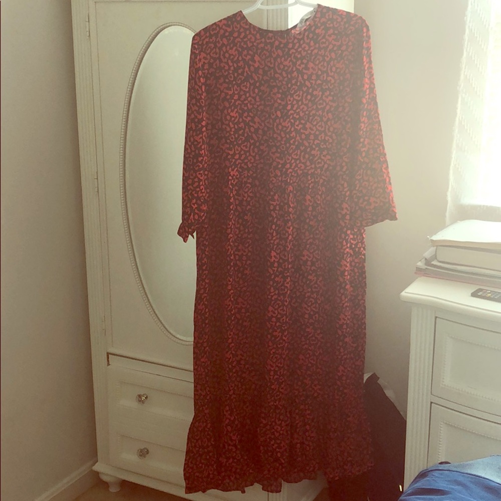 Zara dress